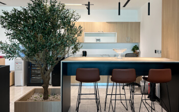 Modern Wood Tone Office Pantry